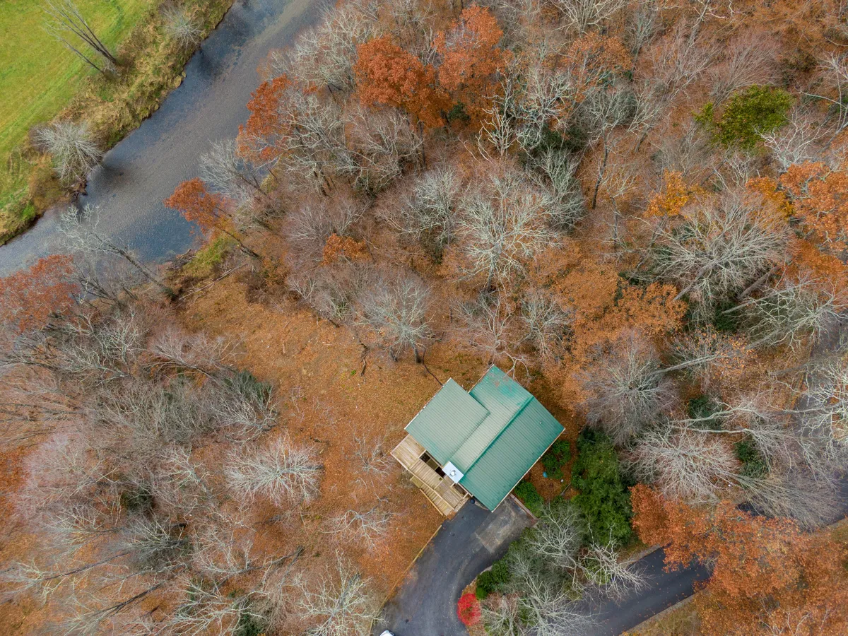 This image features the house with a green roof nestled among trees, with the river clearly visible nearby. The scene emphasizes the proximity of the cabin to nature, offering a glimpse of the tranquil river setting, mature trees, and the inviting exterior of the property.